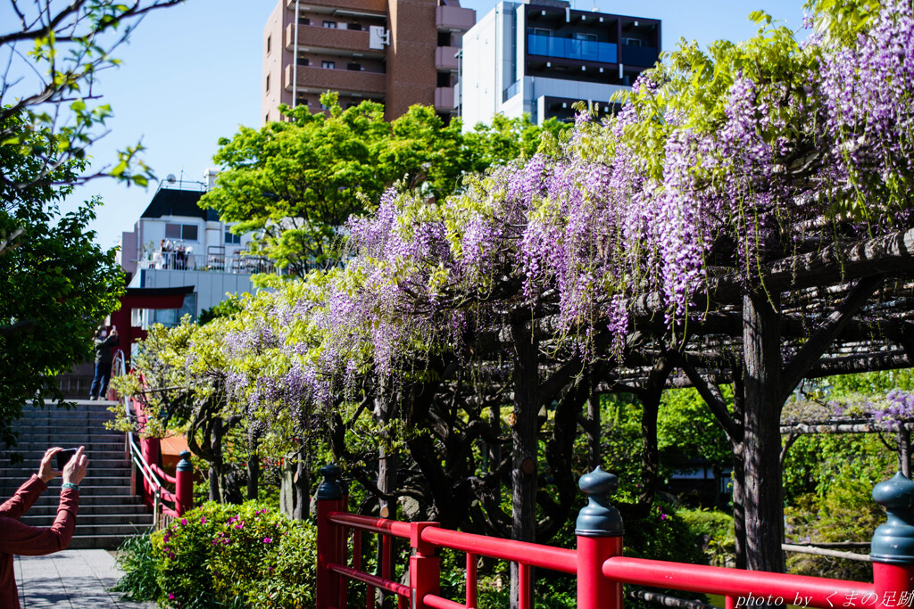 4月19日 天神通信