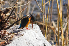 実践 Ⅴ　～元気出してよ～