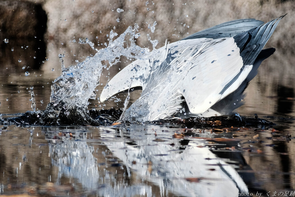 ボケとツッコミ