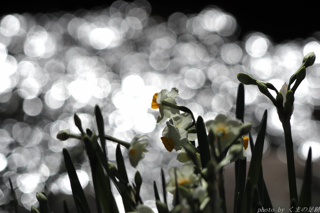 そんな日もあるさ