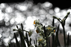 そんな日もあるさ