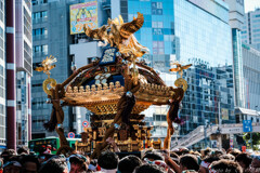 金色に舞う