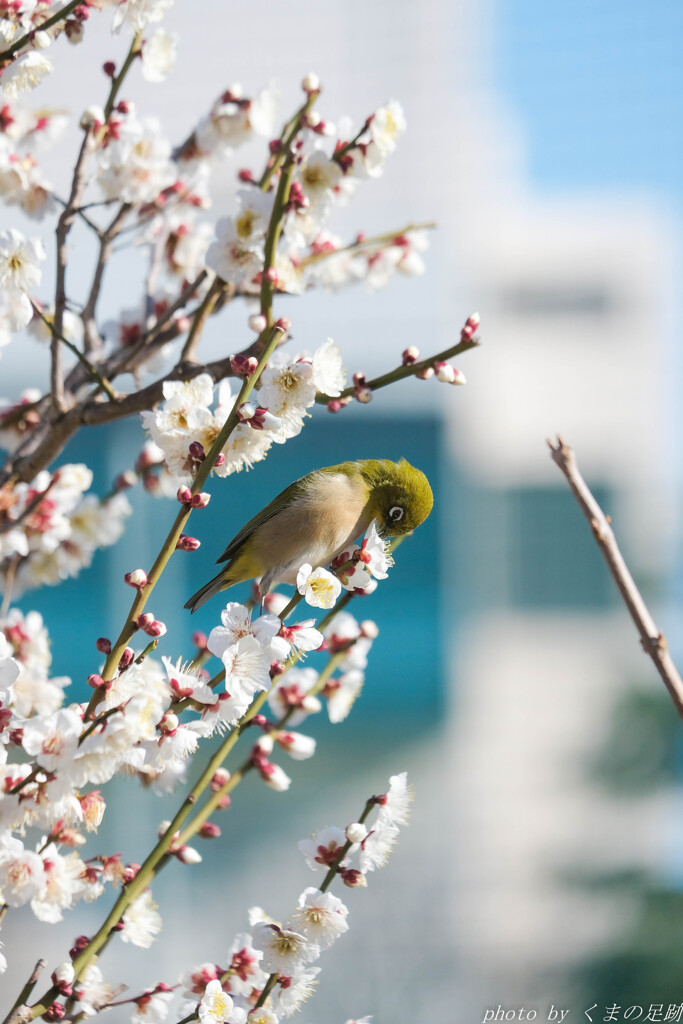 どこ吹く寒風