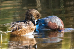 暮れゆくままに身を任せ