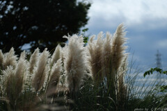 近づく冬を感じる時