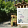 目に晩夏