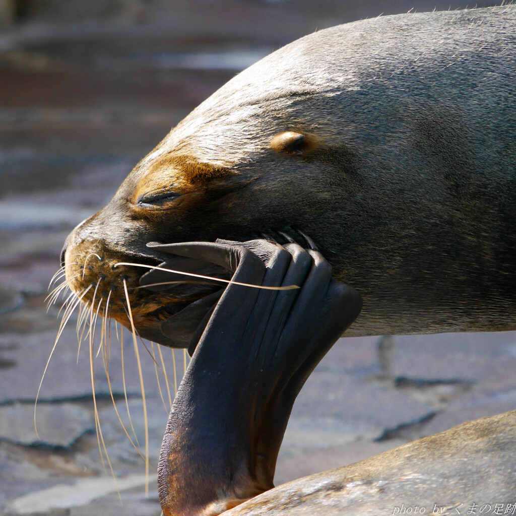 考える脚･･･か？