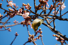 待っていました