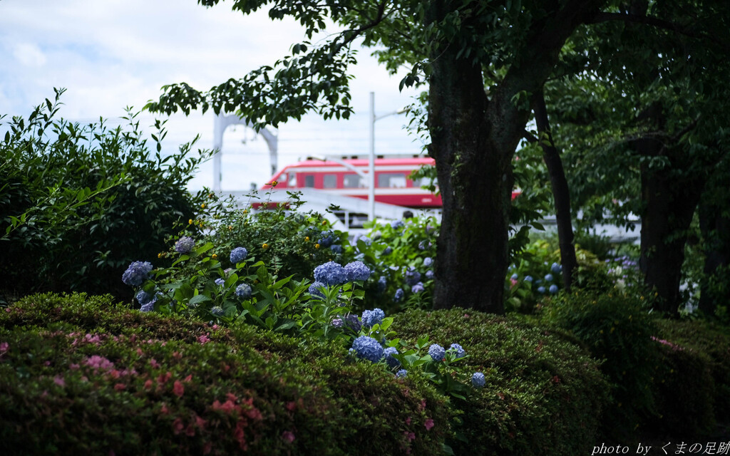 旅に焦がれて：50ｍｍ