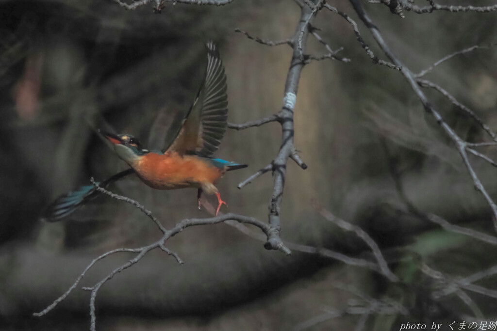 実践 Ⅻ ～キリキリ舞～