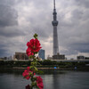 君のとなりで