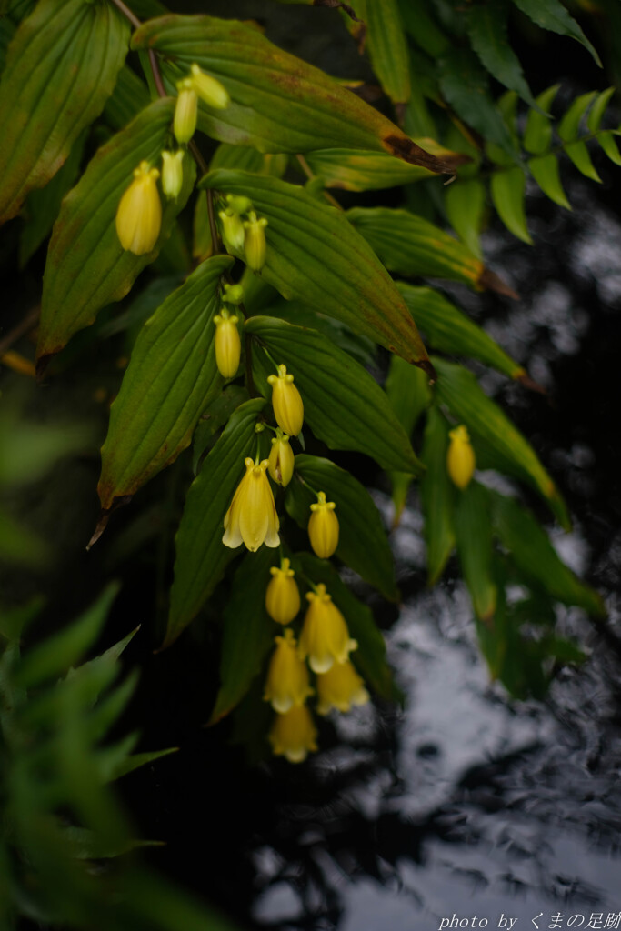 冷たい雨にうたれて