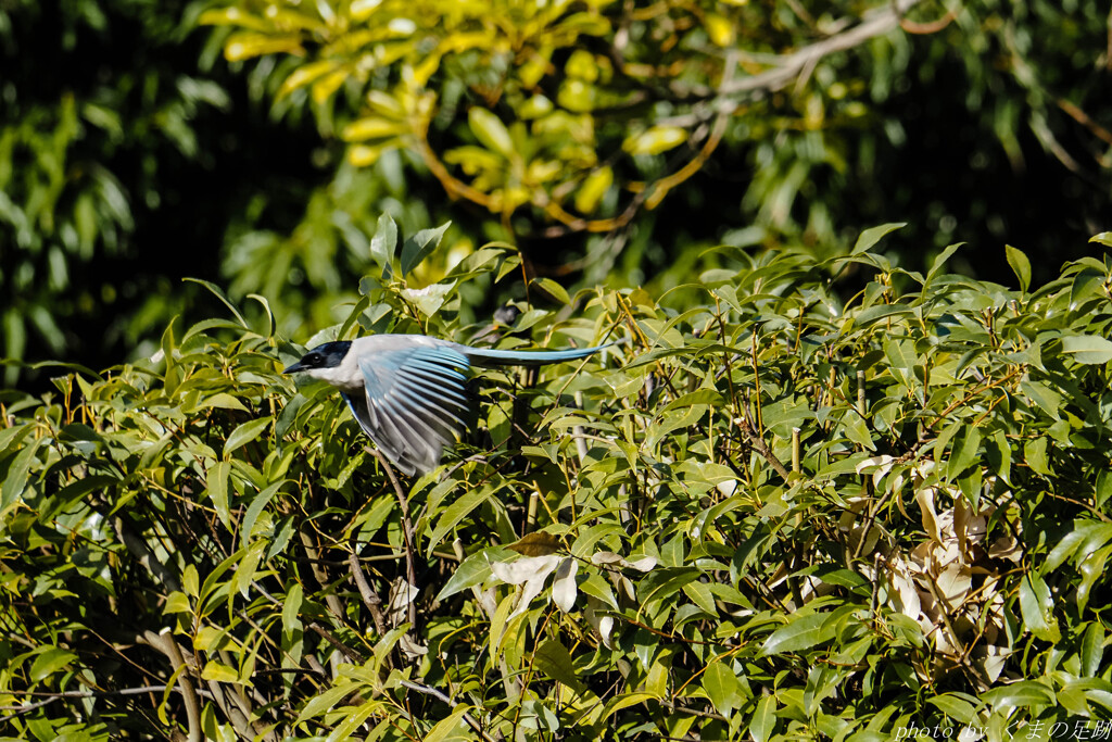実践 Ⅹ　～大目に見てね～