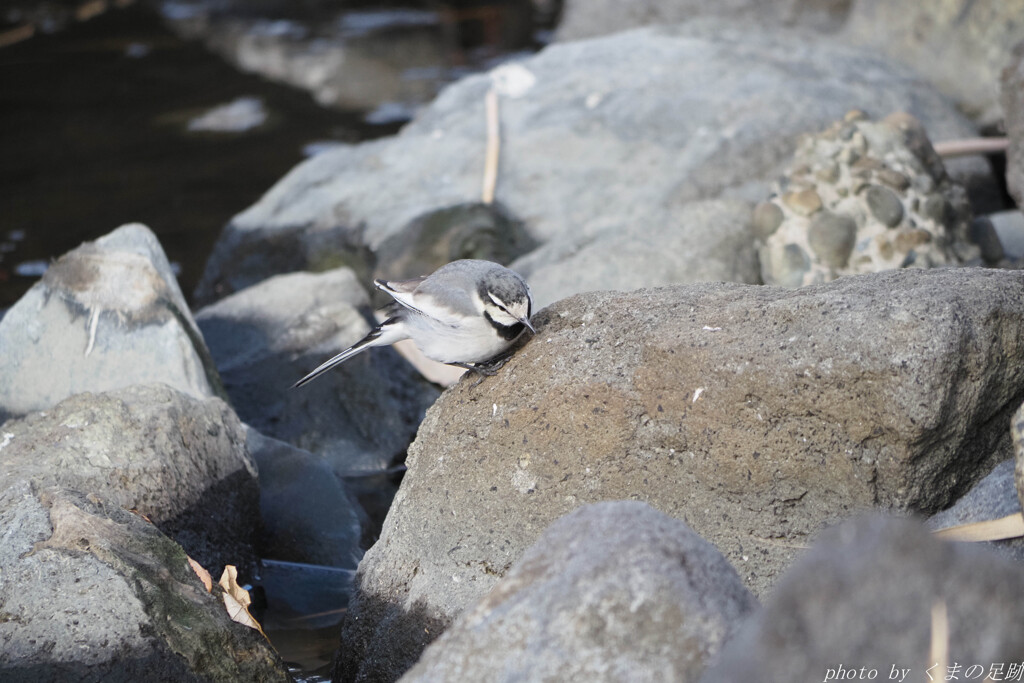 石の上にも３秒