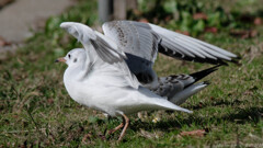 そろそろ行くか