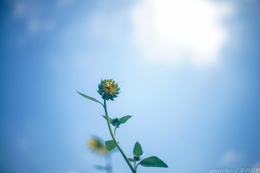 夏の終わりを語ろう