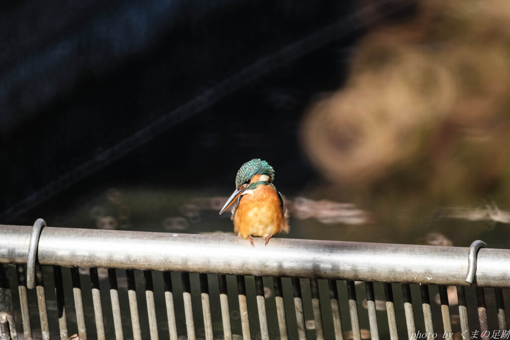 震えます：750ｍｍ