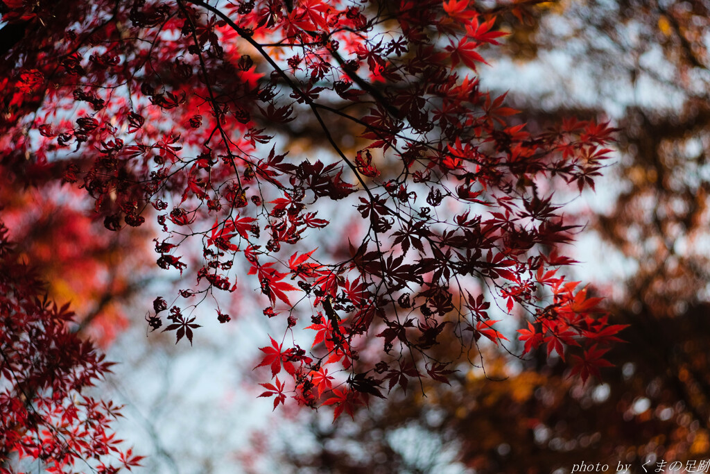 火の元には気をつけましょう