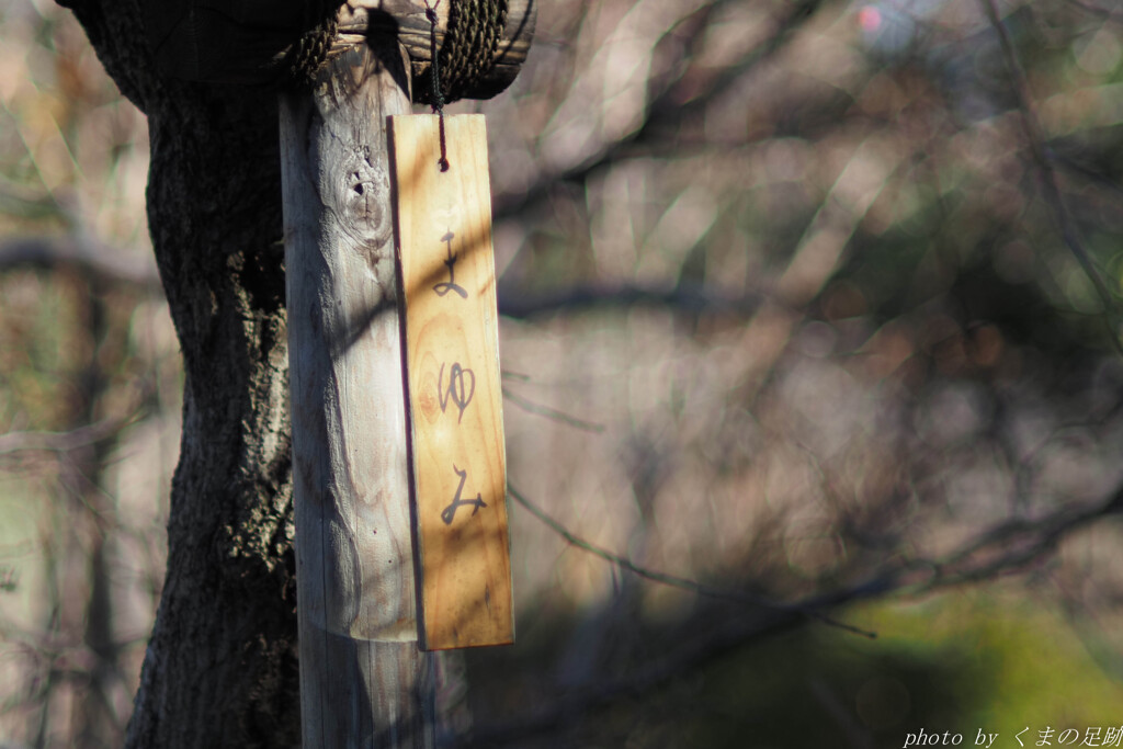 昔の名前で出ています