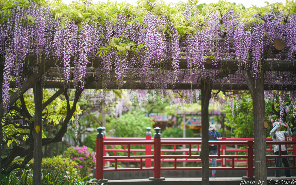 4月23日 天神通信 3