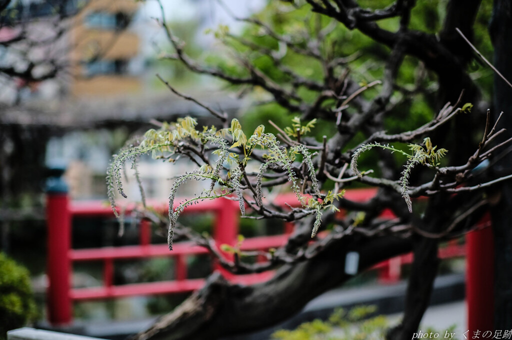 4月12日 天神通信