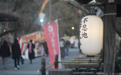 薄暮逍遥