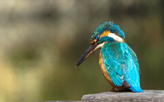 防塵防滴仕様だぜ！！