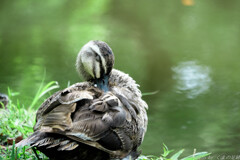mother