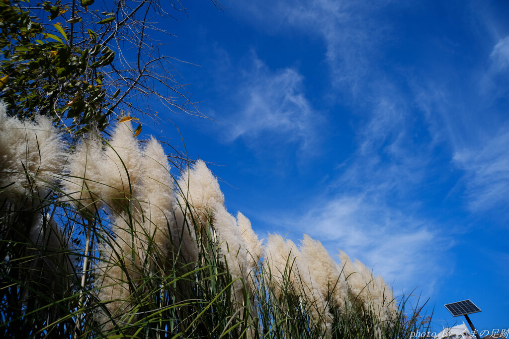 オー･ブルー･スカイ