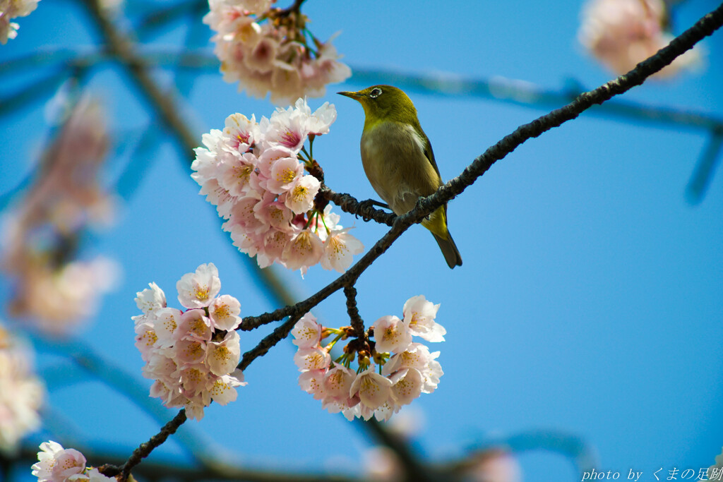 ばっちり