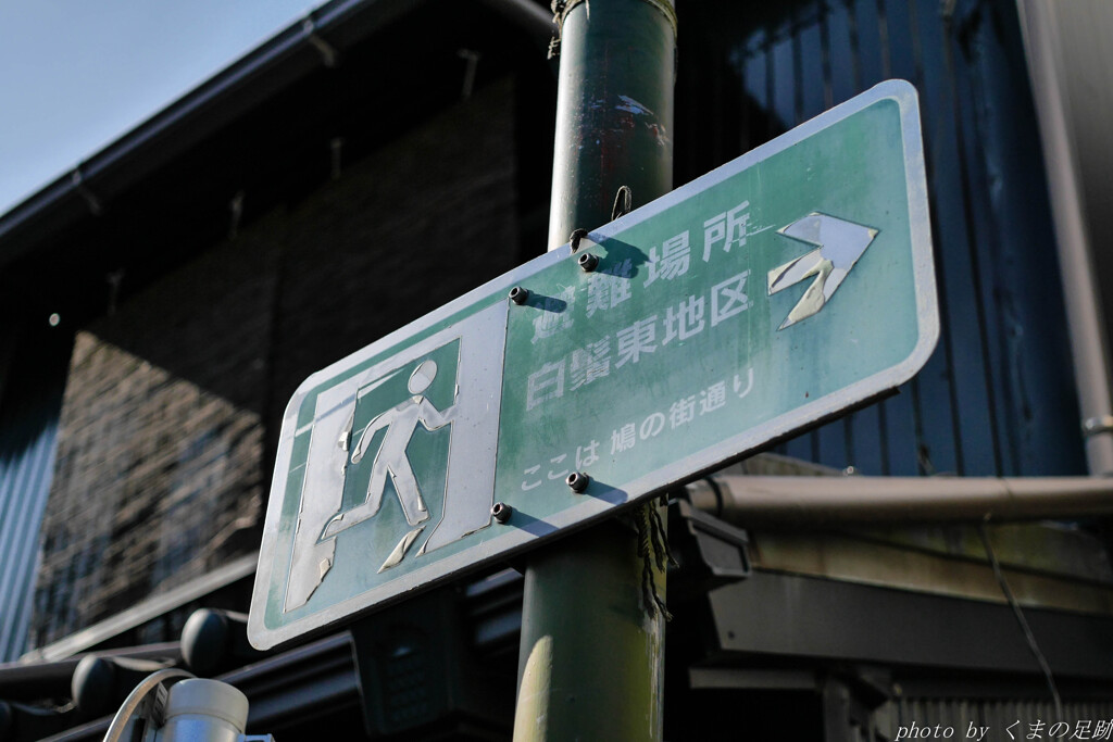 日常確認