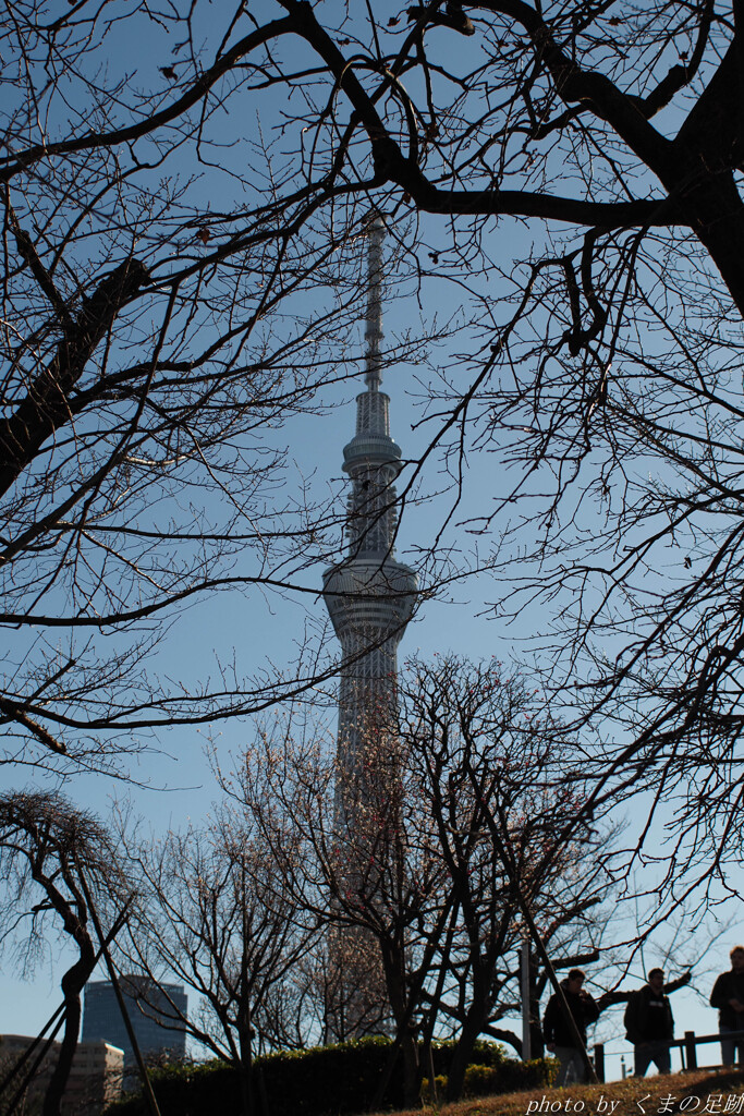 The road to OM-5 MarkⅡ　前日譚