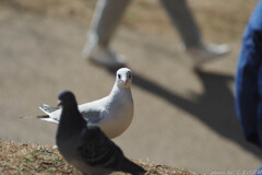 運命を感じた時？