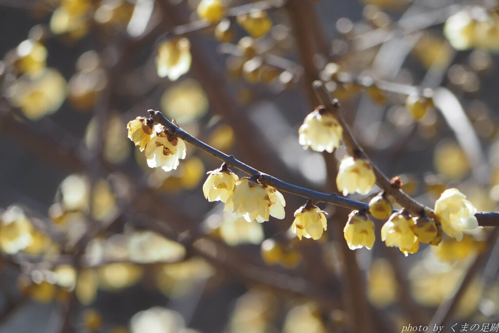 君には陽射しが似合うのさ
