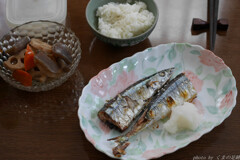 初秋刀魚