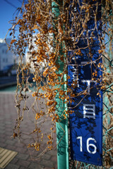 胸のつかえを下す