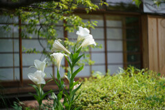 和を醸す