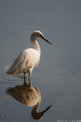 実践 Ⅺ　～勝手に懐古色～