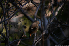 ご無沙汰していました