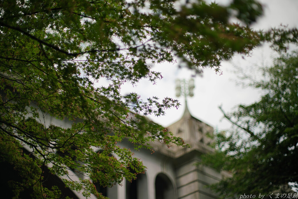梅雨空を仰ぐ