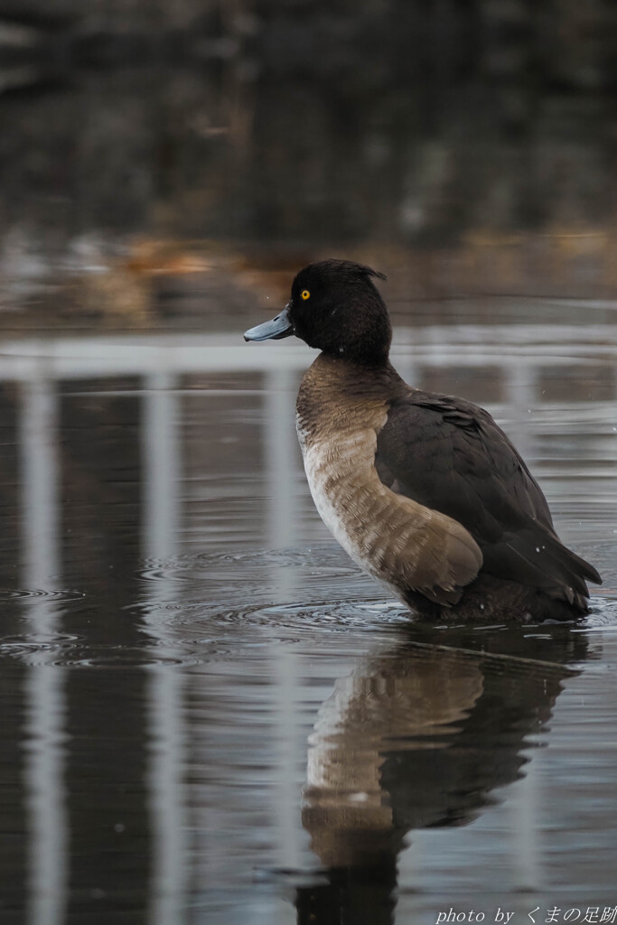 まだ本調子ではないのか