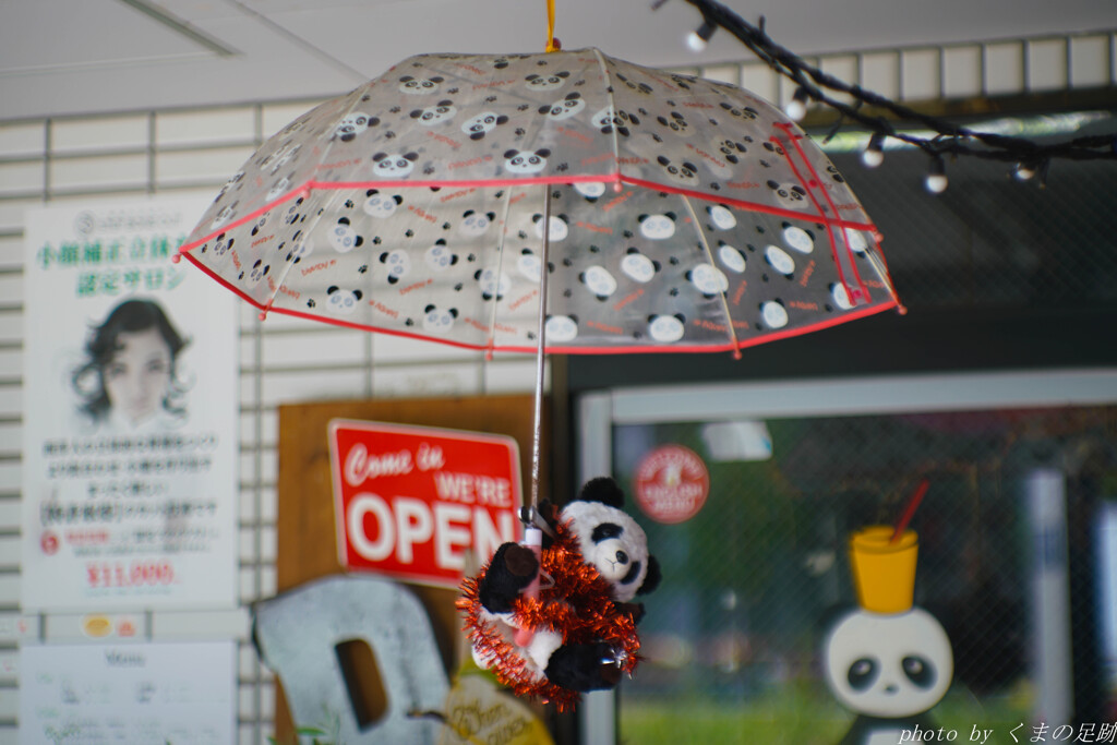 梅雨入りしたにはしたけれど