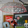 梅雨入りしたにはしたけれど