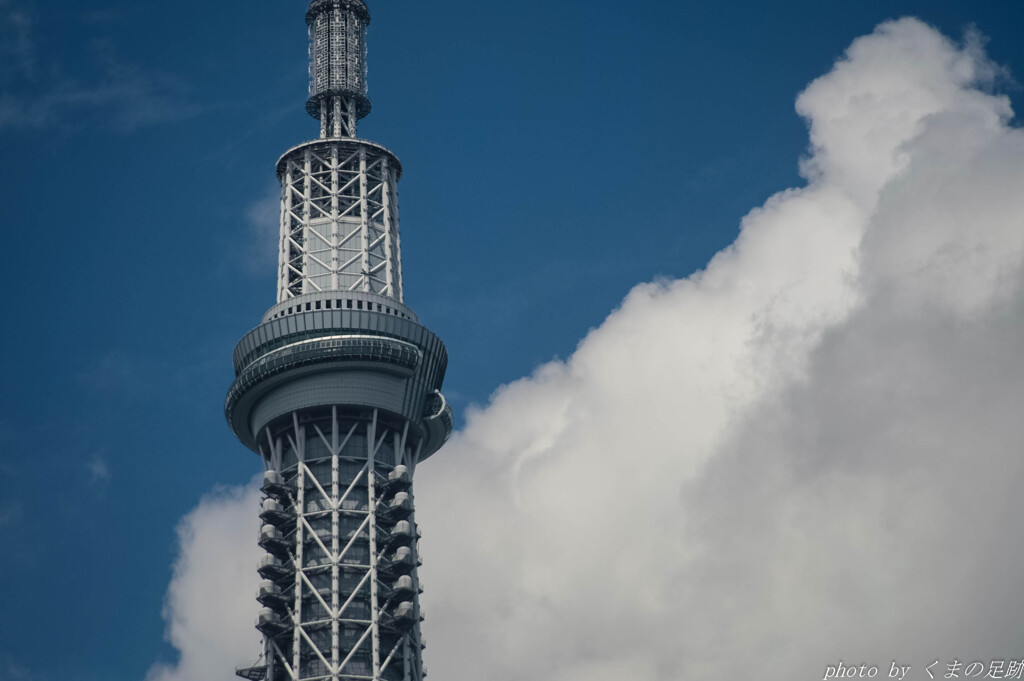 頭を雲の上に出し