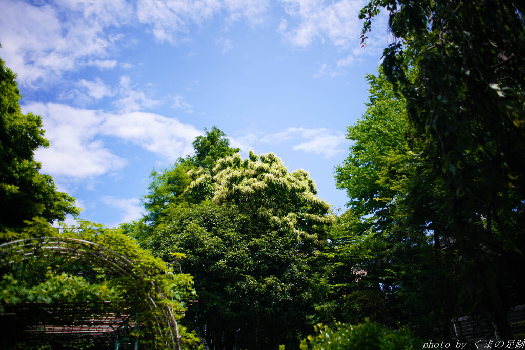 晴れの栗間