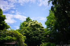 晴れの栗間