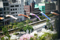 鳩の空流れ
