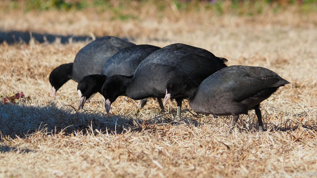 実践 Ⅷ　～そこ、列崩さない！！～