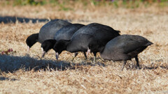実践 Ⅷ　～そこ、列崩さない！！～