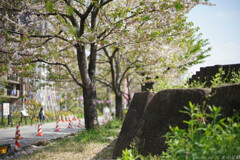 夢のあと
